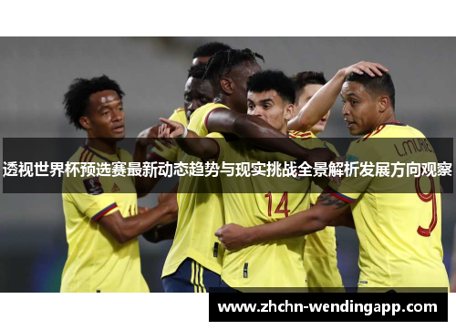 透视世界杯预选赛最新动态趋势与现实挑战全景解析发展方向观察