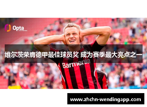 维尔茨荣膺德甲最佳球员奖 成为赛季最大亮点之一